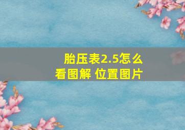 胎压表2.5怎么看图解 位置图片